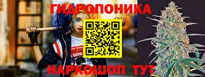 индика Ипатово